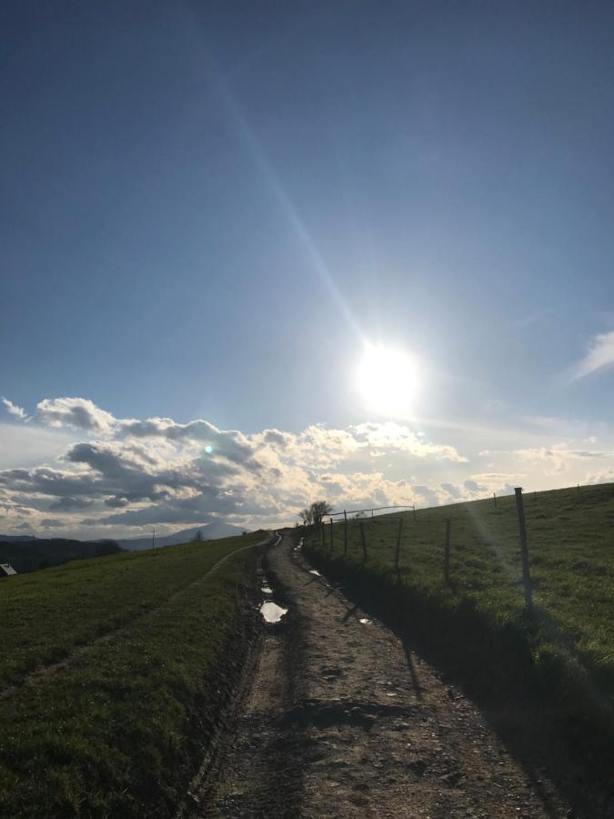 Willa Dalia Rabka Exteriér fotografie